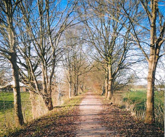 Foto: © Gemeinde Nahe